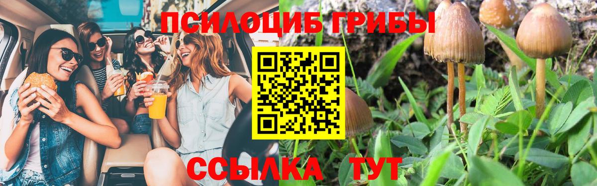 Галлюциногенные грибы Cubensis  Вход с VPN  Иваново 